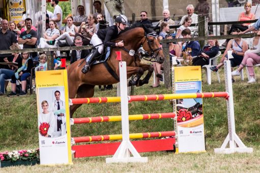 20150628_Springreiten-Boesingfeld_0016.jpg