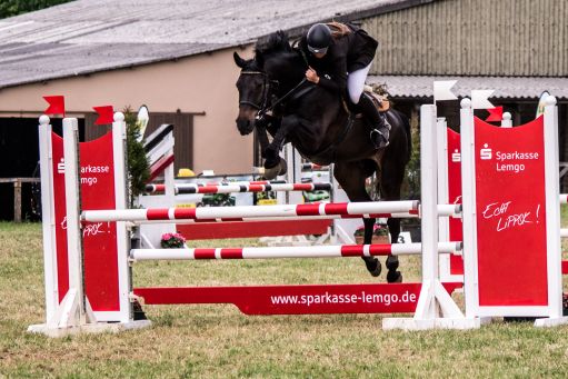 20150628_Springreiten-Boesingfeld_0344.jpg