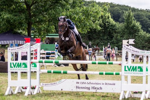 20150628_Springreiten-Boesingfeld_0121.jpg